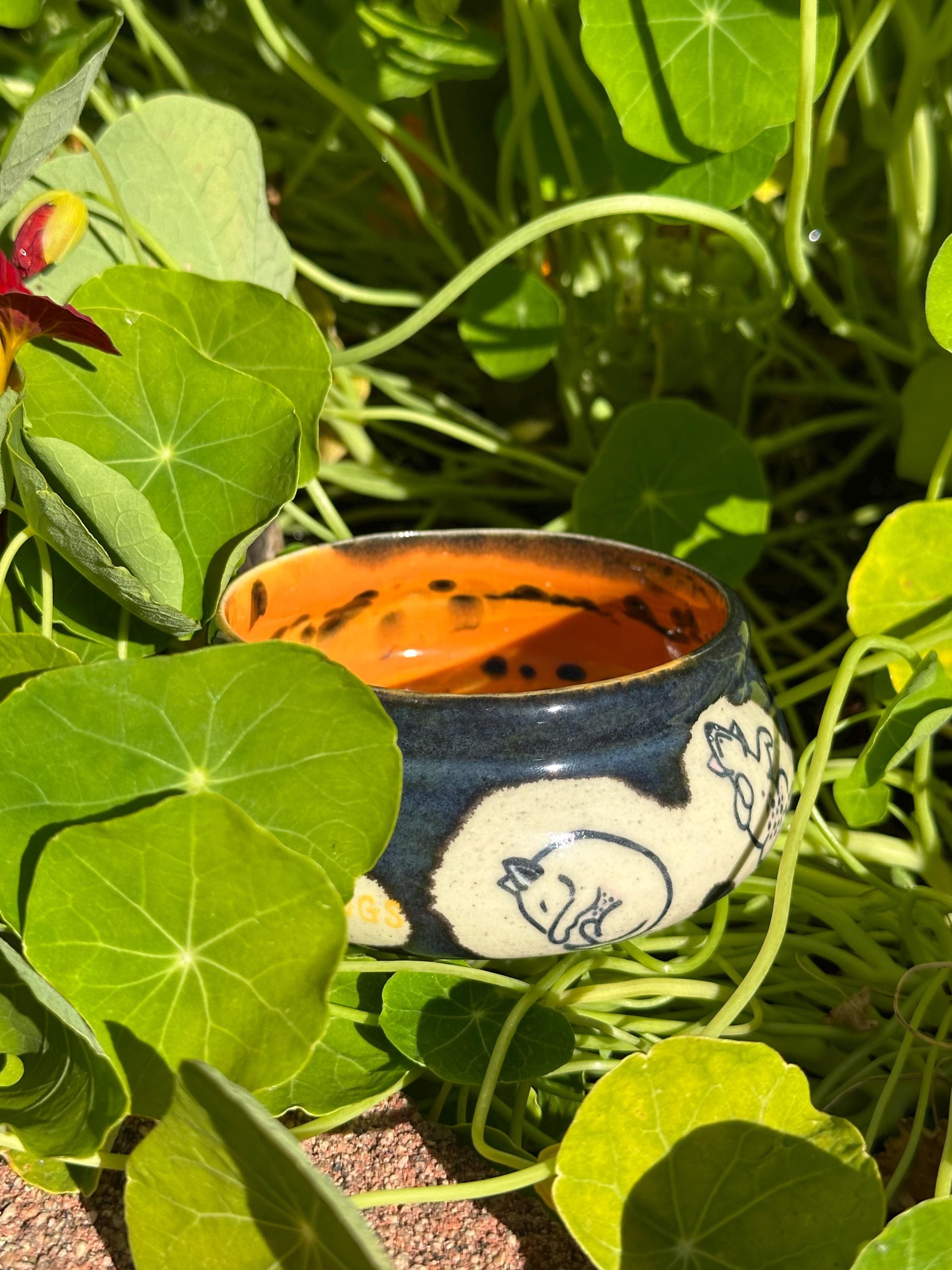 Chaos, but Naps: Wheel Thrown, Hand-Painted Ceramic Bowl