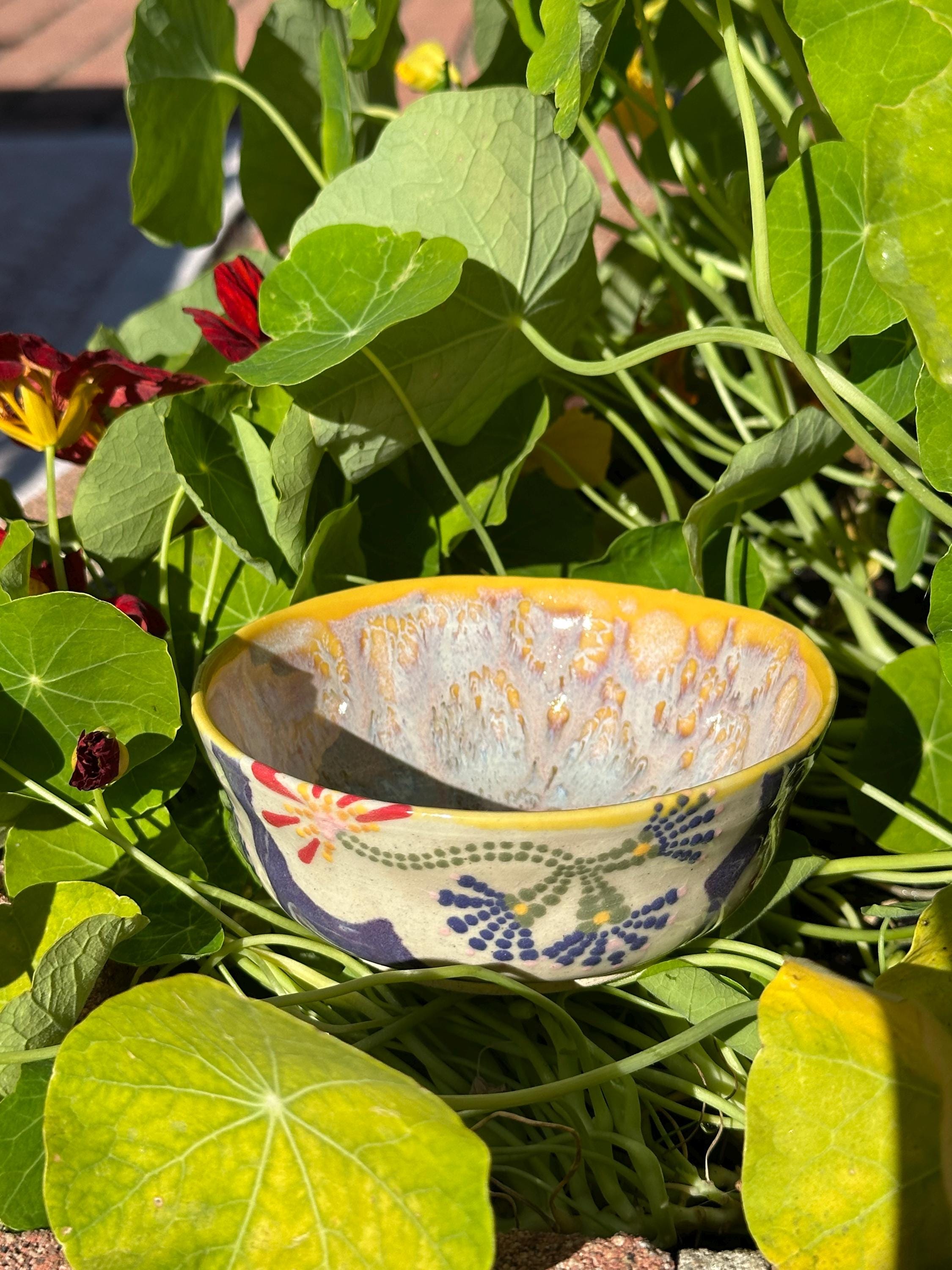 Fireworks: Wheel Thrown, Hand-Painted Ceramic Bowl