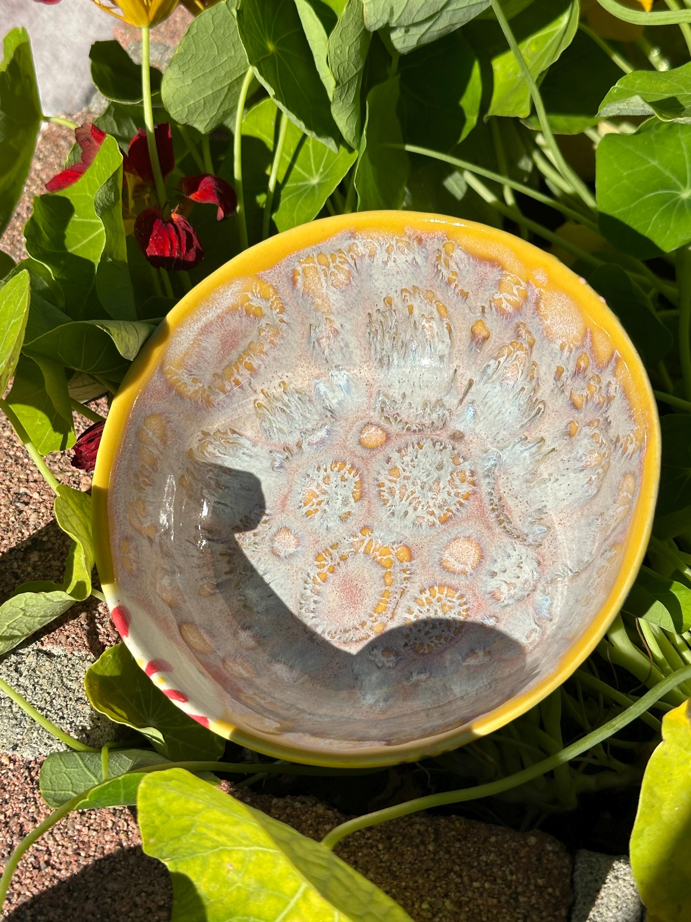 Fireworks: Wheel Thrown, Hand-Painted Ceramic Bowl